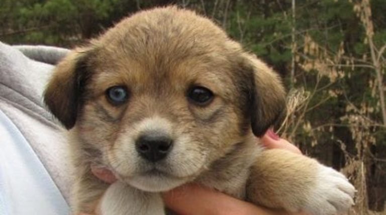 BeFunky-collage (17)