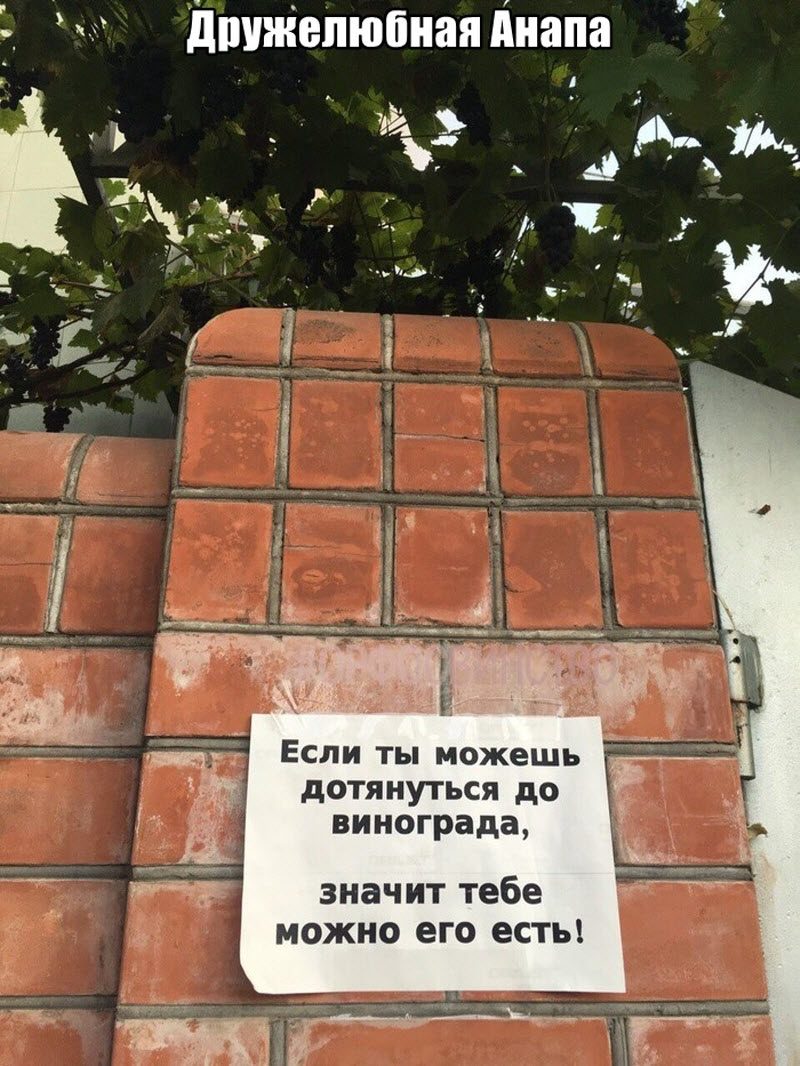 Не все доходят до 30 без ипотеки, кредитов и детей... анекдоты,веселье,демотиваторы,приколы,смех,юмор