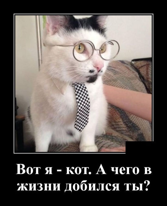 Самые новые демотиваторы Самые новые демотиваторы демотиваторы