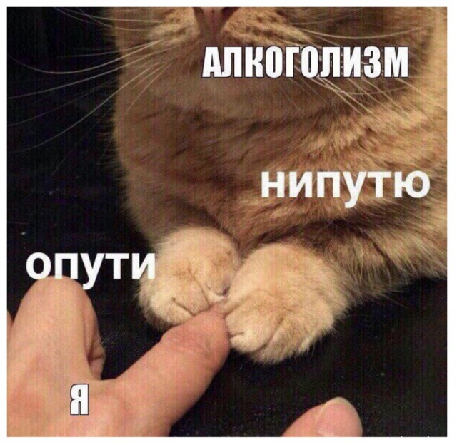Алкогольный юмор Алкогольный юмор позитив