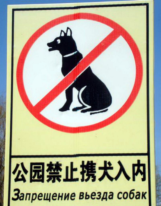 Китай против собак.