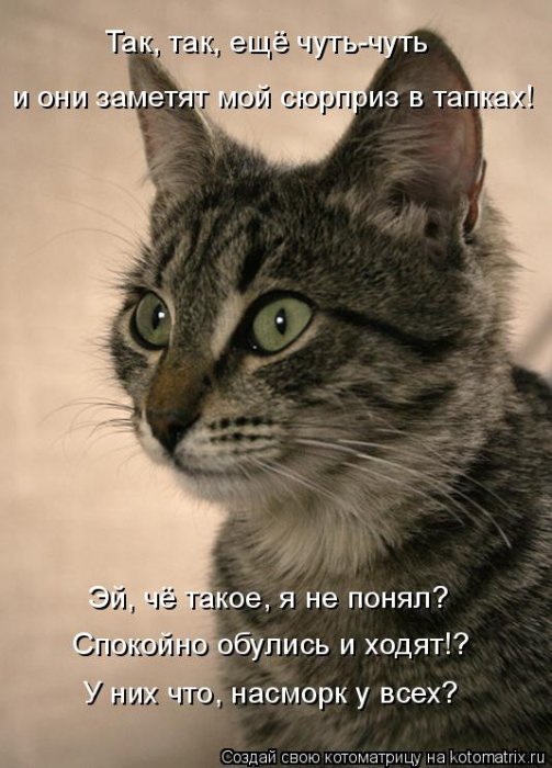 Мысли вслух :)