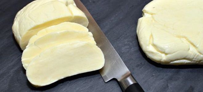 Сыр в домашних условиях – рецепт адыгейского, российского и плавленого сыра, моцареллы, халуми и сулугуни домашний сыр,кулинария,рецепты