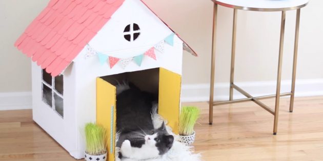 15 способов сделать уютный домик для кошки своими руками для дома и дачи,мастер-класс