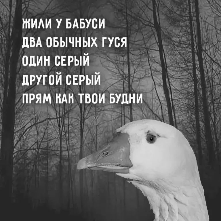 — Ма-а-ам, хочу татуировку! — Неси дочка ремень, сейчас набьем! печеньки, будешь, кухне, захвати, захвачены, генерал 