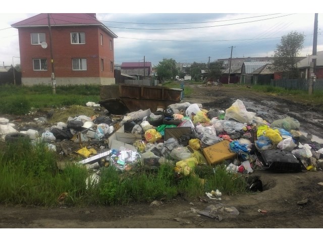 «Кто-то недоработал»: Сибирь на «прямой линии» с Путиным россия