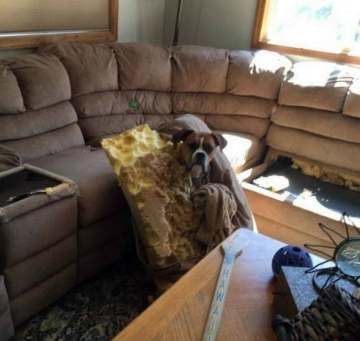 «Ууу, пахнет наказанием и покупкой нового дивана!»| Фото: MADE IN CCCP.
