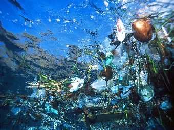 Масса гигантского мусорного «острова» в Тихом океане превысила три с половиной миллиона тонн.
