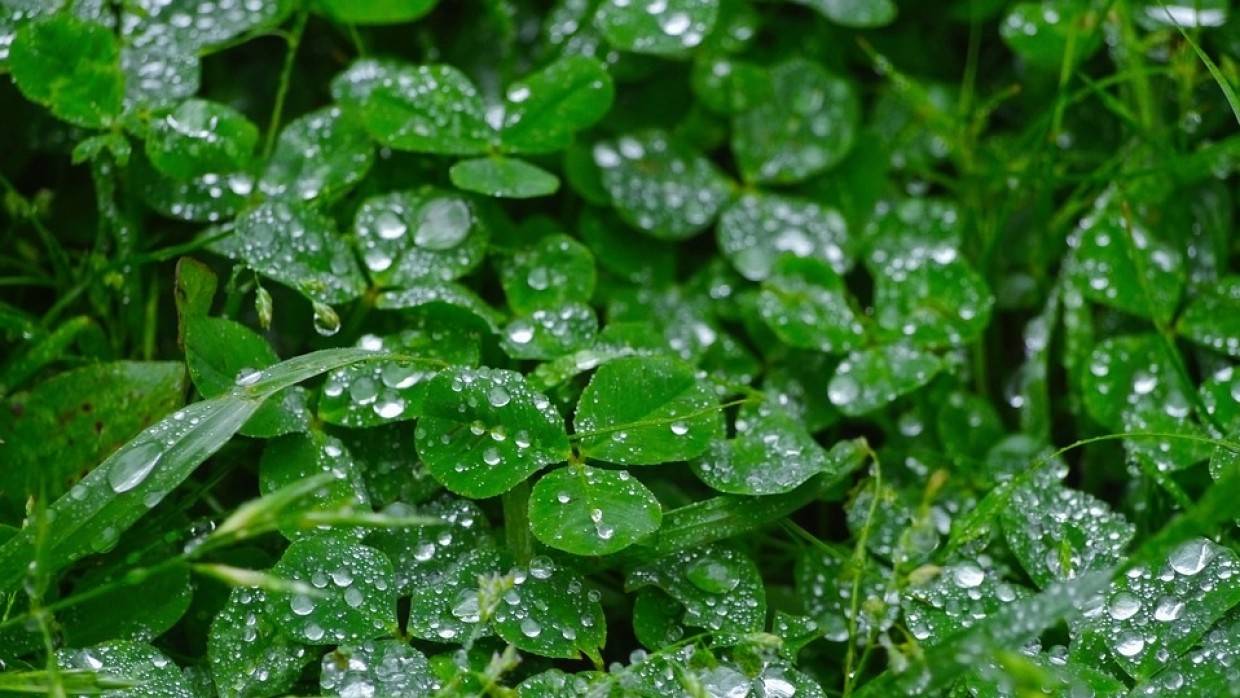 Белый таролог Борг предрек энергию удачи и успеха в зеркальную дату 22.02.2022