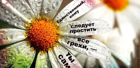 цитаты со смыслом и картинки с цитатами цитаты со смыслом и цитаты в картинках 113