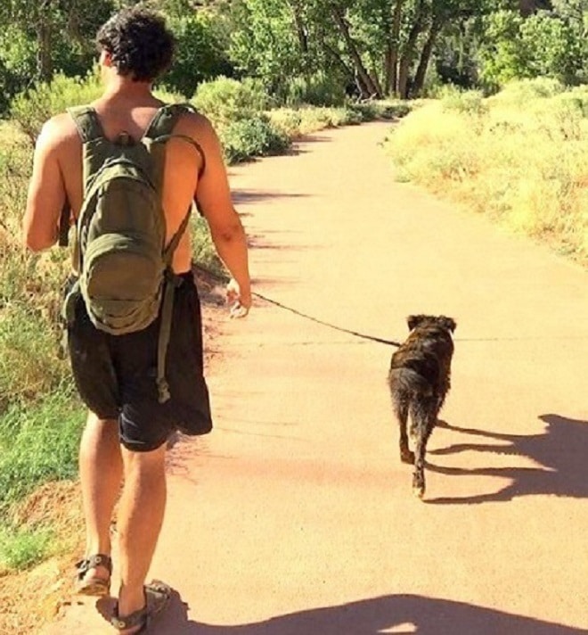 Мужчина и собака