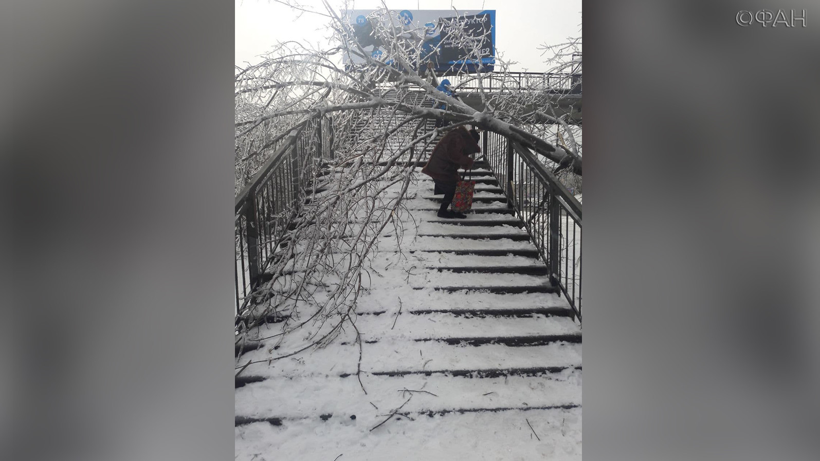 Ледяной дождь в ростове на дону. Ледяной дождь в Приморье. Ледяной дождь во Владивостоке 2020. Ледяной дождь в Сочи. Ледяной дождь Новосибирск.