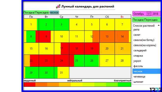 Укроп лунный календарь