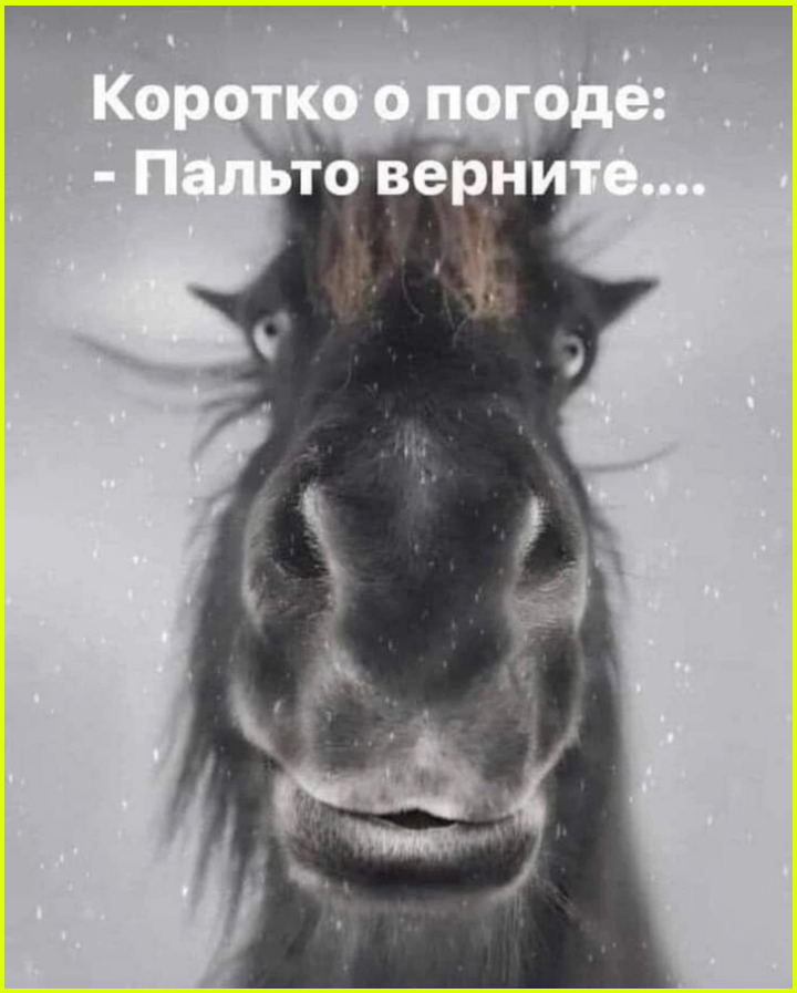 Не так страшно искать во сне туалет, как его найти 