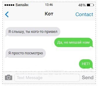 СМС ки от кота, прикольные