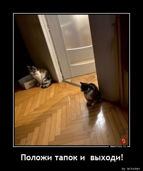 Демотиваторы – картинки: «Здорово, бро!» Демотиваторы – картинки: «Здорово, бро!»