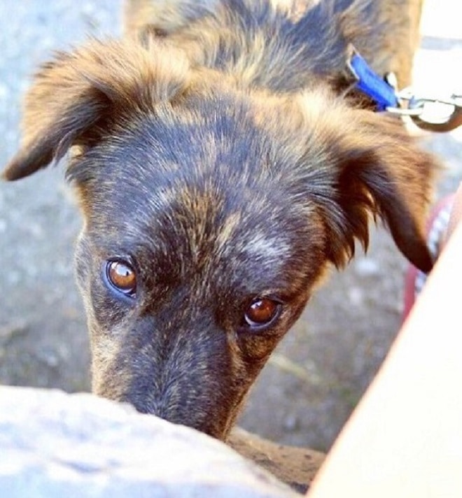 Грустные глаза 