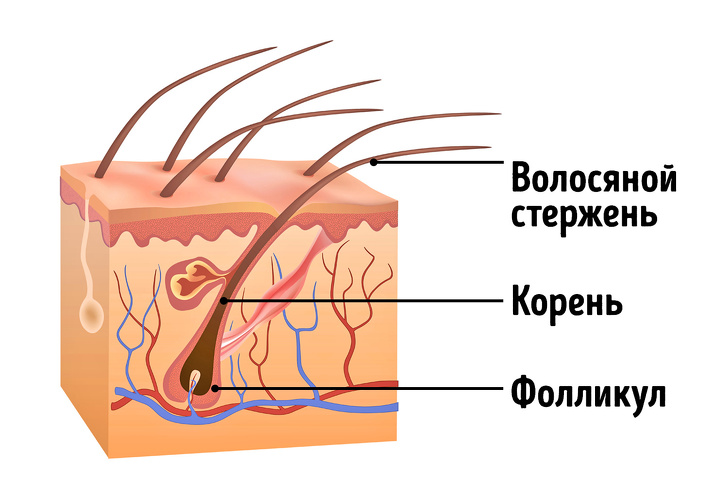 Я 5 лет пыталась восстановить волосы, пока наконец не научилась делать это правильно