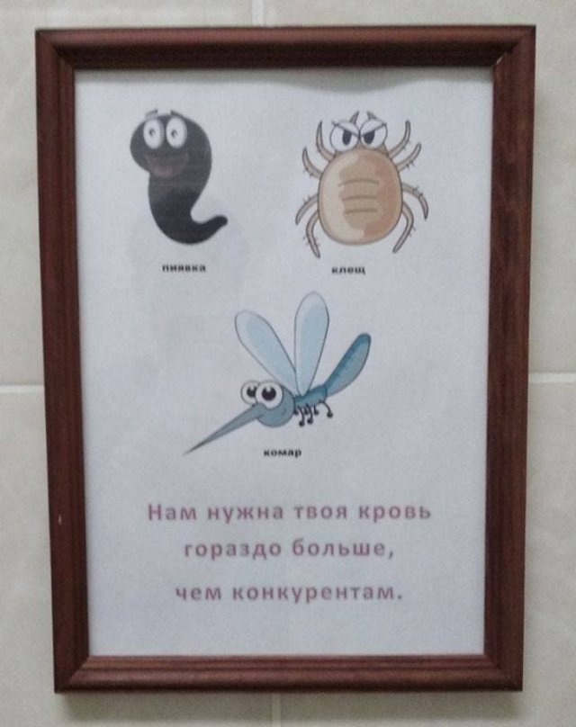 Смешные и странные решения маркетологов  позитив,смешные картинки,юмор