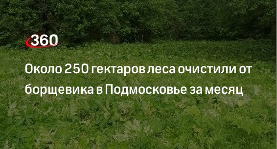 Мой гектар в подмосковье карта