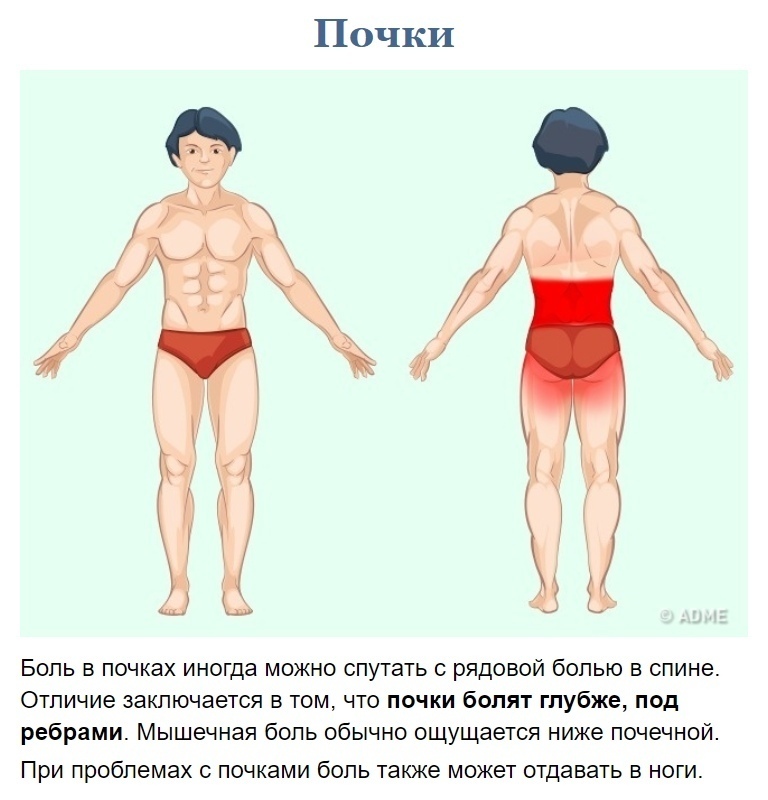 Как узнать что у вас болит? Какая, полагаться, Будьте, диагноз, поставить, может, доктор, только, информацию, всецело, область, стоит, конечно, орган Но, источник, определите, иллюстрации, посмотрите, болит, здоровы