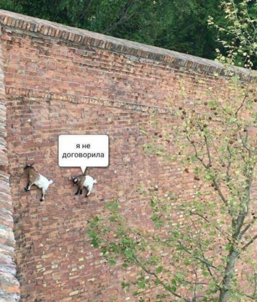 Прикольные картинки дня (55 шт)