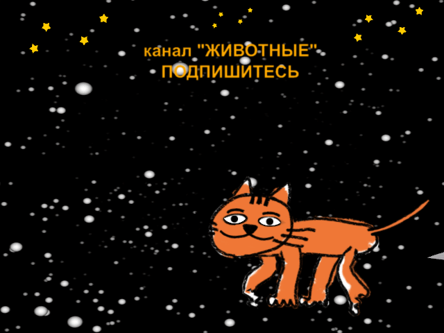 Кто в доме хозяин? Кто в доме хозяин? не всё так грустно