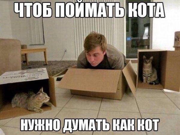 Так себе картинки Так себе картинки