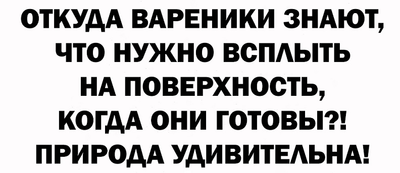 Обычная награда за хорошо выполненную работу - это еще больше работы 