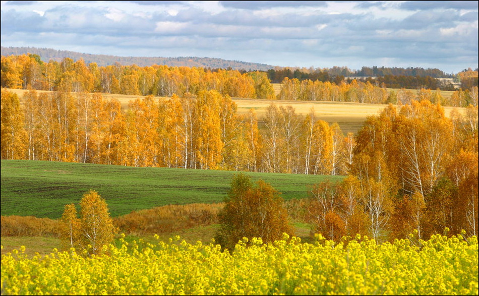 Красоты России. Сибирские пейзажи