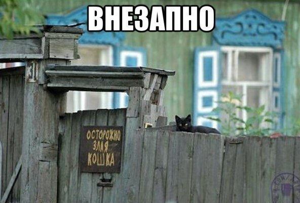 Картинки и фото приколы с надписями со смыслом Картинки и фото приколы с надписями со смыслом