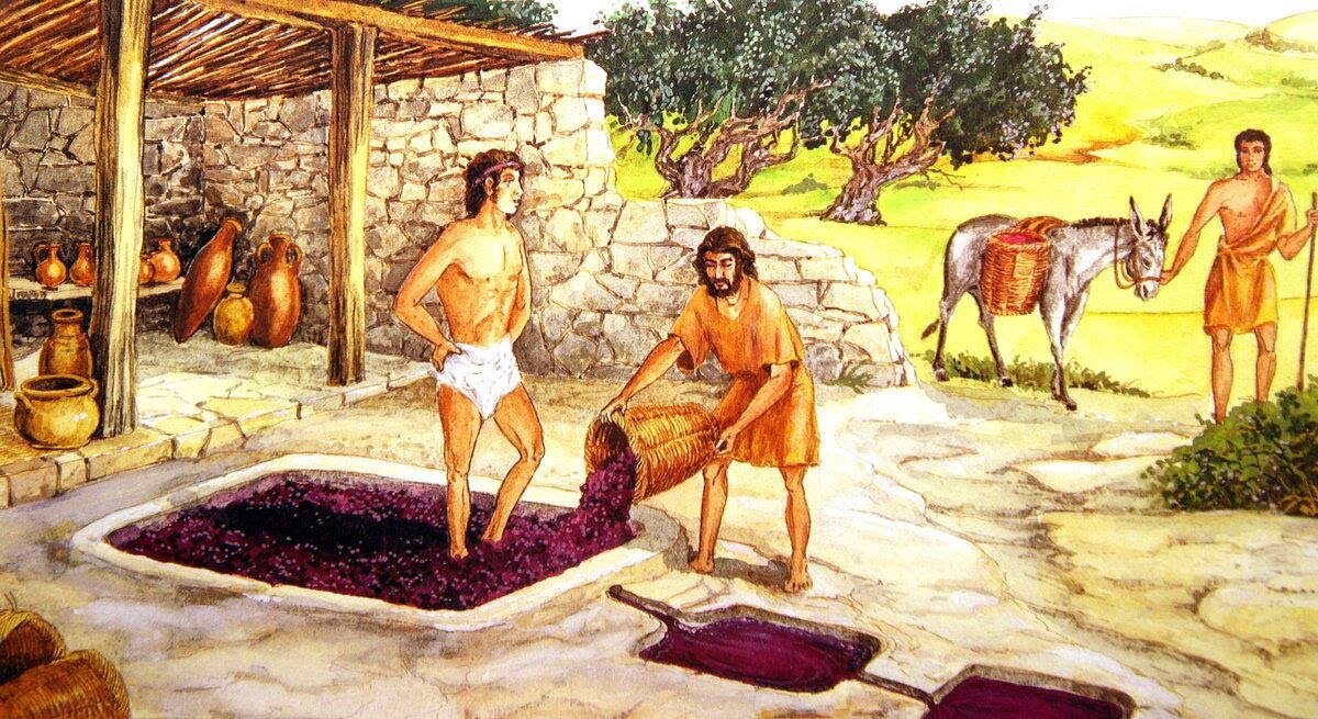 Получение сока из винограда в античности. Современная иллюстрация.