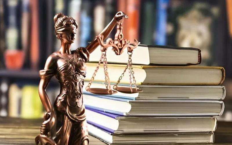 История Соколова и Володиной как судебные решения и действия приставов привели к потере единственного жилья 