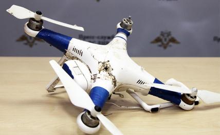 Как бороться с летающими бандеровцами-смертниками в российском небе