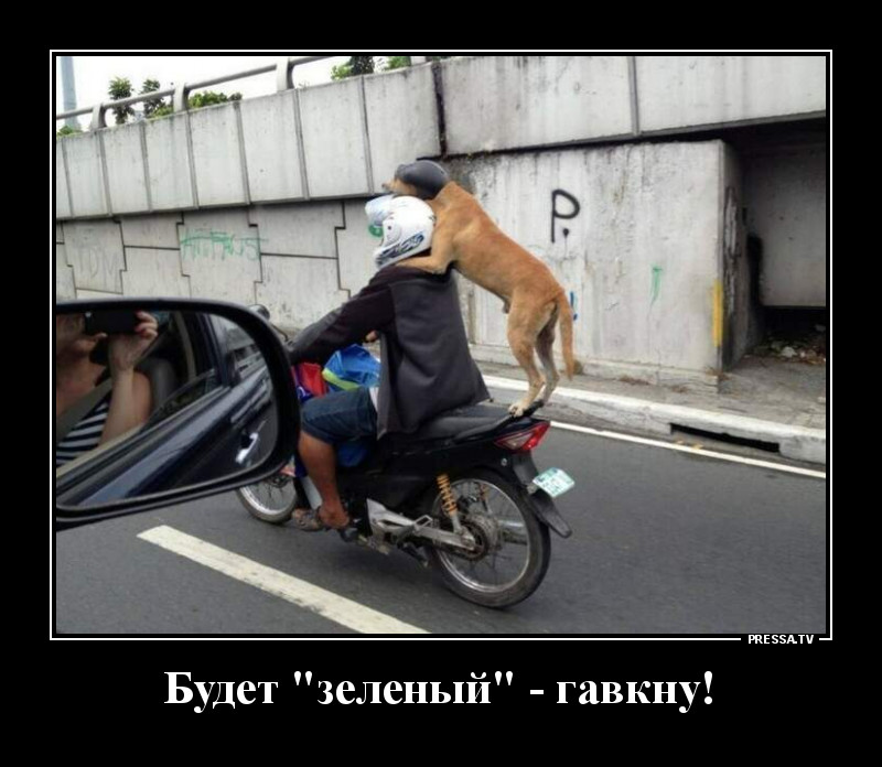 Свежая коллекция юмора для отличного настроения Свежая коллекция юмора для отличного настроения