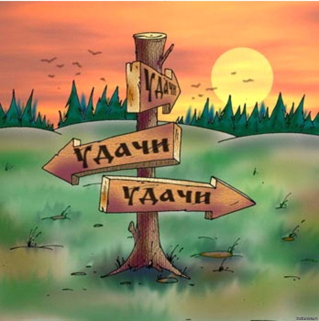Удачи в делах картинки мужчине, юбилеем.вконтакте