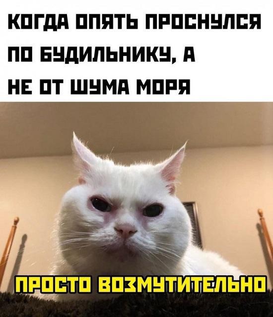 Угарные картинки с юмором Угарные картинки с юмором