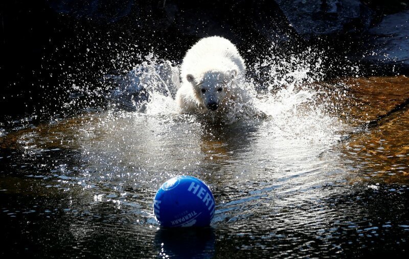 Эмоциональные фотографии для отличного настроения Эмоциональные фотографии для отличного настроения фотография