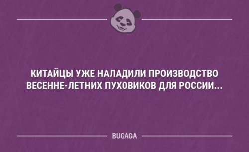 Коллекция анекдотов для хорошего настроения  