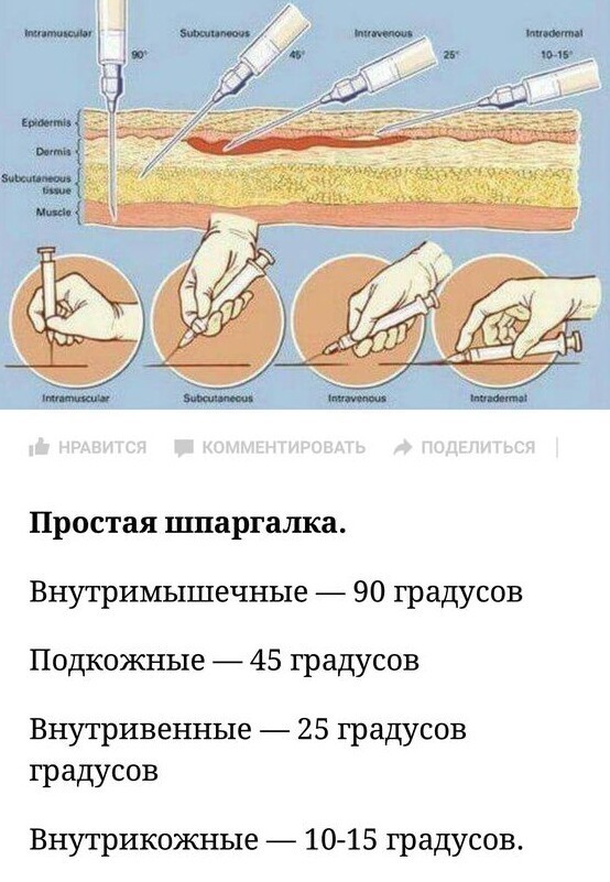 20 полезных шпаргалок о нашем теле, здоровье, еде и хорошей жизни ничего, важнее, здоровья, правильное, питание, понимание, своего, упражнения, советы, вопросам, очень, важны, Сохрани, пользуйся, случаеВиды, жировГормоны