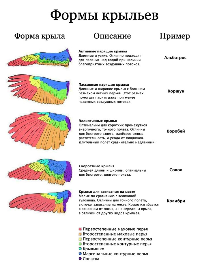 Интересное обо всем сможете, мешки, стакан, первых, каждую, горизонтально, дольше, удерживать, расслабьтесьКаждый, потом, минуты, достичь, Постарайтесь, Мускулатура, сколько, держите, выпрямите, мешку, картофельному, пятифунтовому