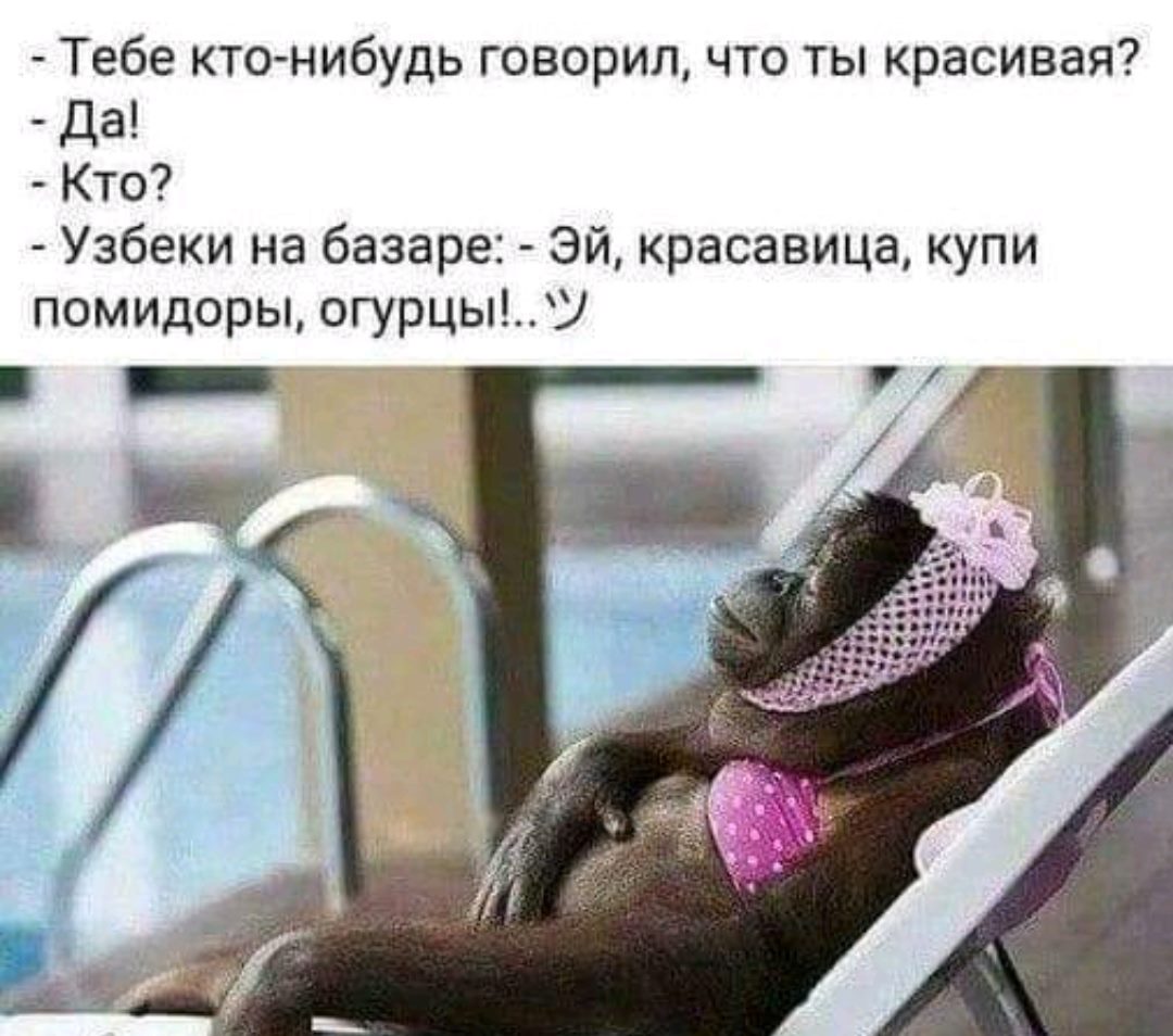 Красивой бездельницы