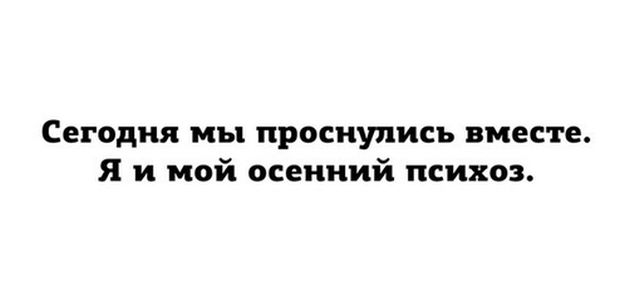 Позитивные и веселые картинки с надписью до слез (11 фото)