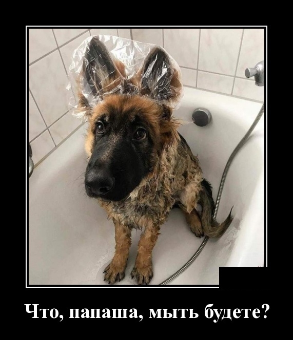 Демотиваторы 19 марта 2019 Демотиваторы 19 марта 2019