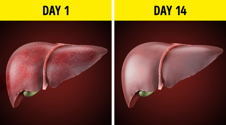 Что будет с вашим телом, когда вы не пьете алкоголь в течение 28 дней