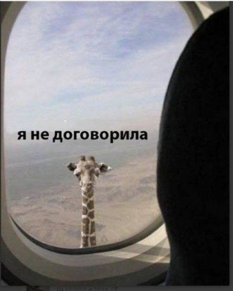 Улыбаемся шире!