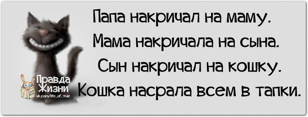 Позитивные фразочки со смыслом жизнь, картинки, смысл, фраза, цитаты, юмор