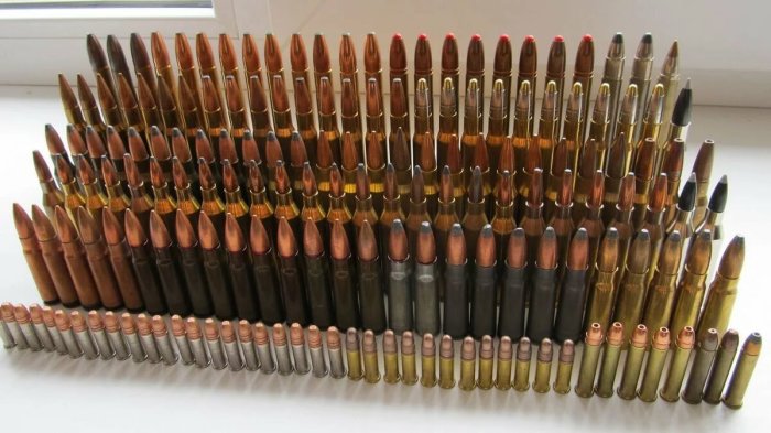 Какие отличия между боевыми и охотничьими патронами Какие отличия между боевыми и охотничьими патронами оружие