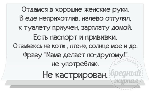 Субботний, утренний позитив дорогие друзья. веселые картинки