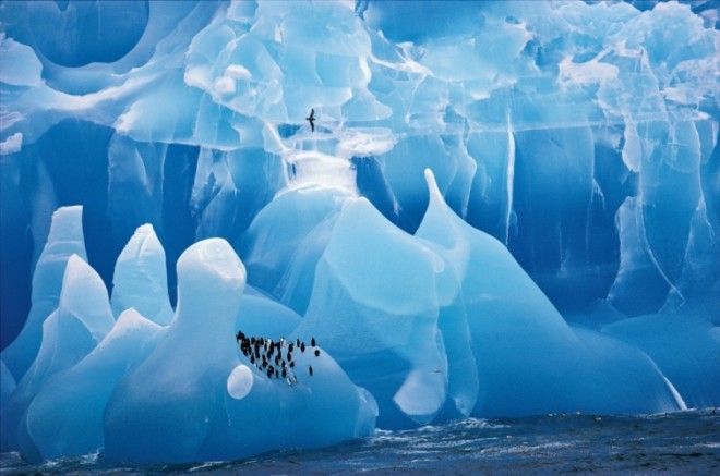 25 фотографий, на которых нет ни грамма фотошопа, хотя в это и очень сложно поверить без фотошопа крутые фотографии без фотошопа